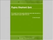 Pygmy elephant quiz....
