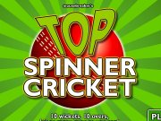 Game Top spinner cricket