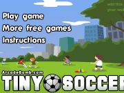 Tiny soccer. http://www.arcadebomb.com add this game for your website 100kb get http://www.arcadebomb.com/free_website_games.html...
