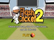 Game Flash cricket 2