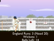 Game Top spinner cricket