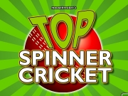 Top spinner cricket. 01234 Enter name Score12345678910 Score runs strike score...
