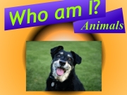 Game Who am I ? Animals