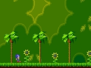 Game Sonic xtreme
