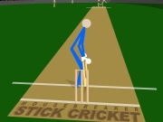 Game Stick cricket