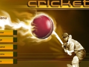 Cricket....
