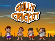 Game Gully cricket