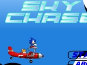 Sonic sky chase....
