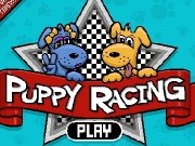 Puppy racing....
