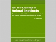 Game Animal instincts quiz