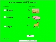 Game Animal quiz higher