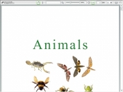 Game Animals ebook