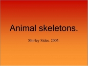 Game Animal skeletons