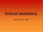 Animal skeletons. 1. Animal skeletons. Slide 2 2. 3 3. 4 4. 5 5. 6 6. 7 7. 8 8. 9 9. 10 10. 11 11. 12 12. 13 13. 14 14. Shirley Sides. 2005. Chicken Dog Bat Fish Rabbit Snake Frog Turtle Cat Lizard Ostrich Rat...
