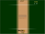 Game Magic cricket