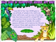 Game What kind of rainforest animal are you ?