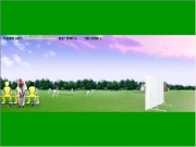 Game Cricket