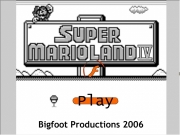 Super mario land 4....
