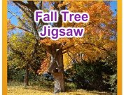 Game Fall tree jigsaw