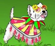 Game Little dog dress up game
