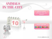 Animals In The City. 2008.12 31...
