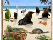 Game Animal jukebox