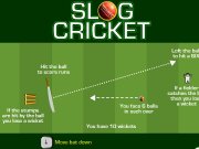 Game Slogcricket