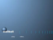 Game Wall ball