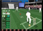 Game Cricket craziness