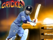 Game Cricket