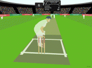 Game Power test series cricket