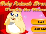 Baby animals dress up - Toothy the hamster. http:// http://www.rainbowdressup.com...
