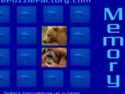 Game Memory animal match