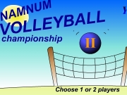 Game Namnum volleball championship 2