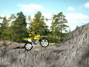 Dirt bike 2....
