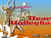 Game Beach volleyball