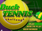 Duck tennis challenge. Name goes here 000 NAME SCORE RANK LOADING... LOADING DUCK TENNIS! ducktennis.swf soundtrack.wav GAME... sound on off PLAY HOW TO WELCOME THE INCREDIBLE TENNIS... BACK Come rain or shine, our ducks are always up for a game of tennis. Control player with your mouse.Press and release the mouse button to control power direction ball.Hit space bar lob opponent.Canât quite perfect serve? Simply d...
