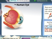 The human eye....
