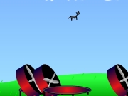 Game Catapult animal