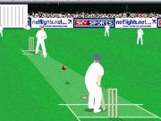 Game World cricket challenge