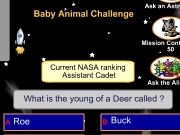Game Baby animals challenge