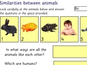 Similarities between animals. 1 2 3 4 5 6 Menu variation2c.swf Reset Print Similarities between animals Look carefully at the below and answer questions in space provided. By: In what ways are all like each other? Which humans? How do we know? humans...
