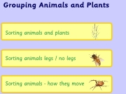 Game Grouping animals and plants