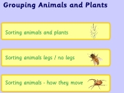 Game Grouping animals and plants