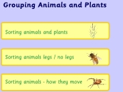 Grouping animals and plants. 0...
