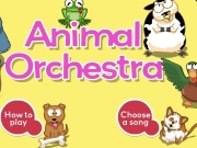 Animal orchestra....
