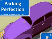 Game Parking perfection 1